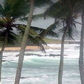 Sri Lanka - Les seniors proportionnellement plus touchés par le Tsunami Sri Lanka - Les seniors proportionnellement plus touchés par le Tsunami