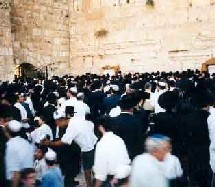 Israël - Une plus forte proportion de seniors dans la diaspora Israël - Une plus forte proportion de seniors dans la diaspora