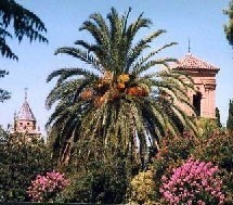 Les résidences pour seniors en Espagne, un bon marché pour les promoteurs immobiliers Les résidences pour seniors en Espagne, un bon marché pour les promoteurs immobiliers