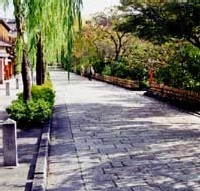 Un millier de seniors déments morts ou disparus en 2004 au Japon Un millier de seniors déments morts ou disparus en 2004 au Japon