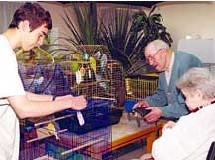Jeunes et seniors gardent des animaux domestiques durant l’été dans une maison de retraite Jeunes et seniors gardent des animaux domestiques durant l’été dans une maison de retraite