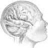 Oméga-3 : une étude va tester pendant 5 ans leurs effets sur la maladie d'Alzheimer Oméga-3 : une étude va tester pendant 5 ans leurs effets sur la maladie d'Alzheimer