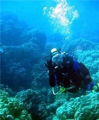 Plongée Seniors Aventure, une formation spécifique pour obtenir votre brevet de plongée Plongée Seniors Aventure, une formation spécifique pour obtenir votre brevet de plongée