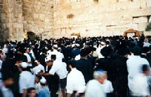 Un senior israélien sur cinq vit au-dessous du seuil de pauvreté Un senior israélien sur cinq vit au-dessous du seuil de pauvreté