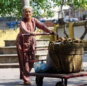 Les autorités vietnamiennes se penchent sur le sort des personnes âgées Les autorités vietnamiennes se penchent sur le sort des personnes âgées
