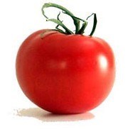 Une tomate 'anti-âge' vient d'être lancée en Grande-Bretagne Une tomate 'anti-âge' vient d'être lancée en Grande-Bretagne