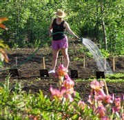 Le jardinage : une activité qui a le vent en poupe grâce aux jeunes seniors Le jardinage : une activité qui a le vent en poupe grâce aux jeunes seniors