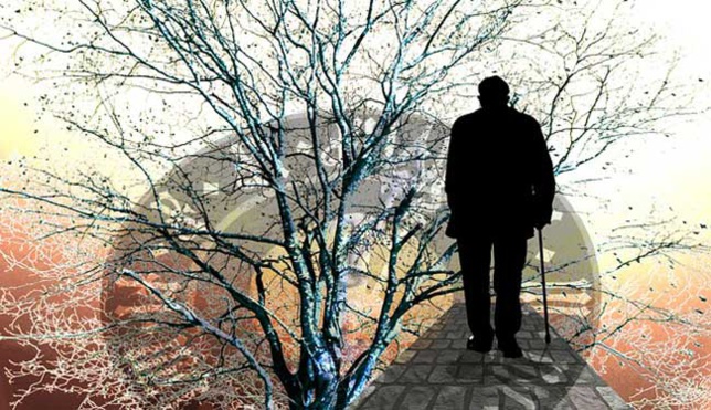 Un cahier d’activités à domicile pour le malade d’Alzheimer et son aidant Un cahier d’activités à domicile pour le malade d’Alzheimer et son aidant