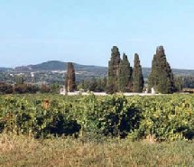 Les Chasselas : une nouvelle résidence senior dans le Gard pour profiter d’une retraite dynamique Les Chasselas : une nouvelle résidence senior dans le Gard pour profiter d’une retraite dynamique