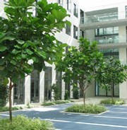 Un institut de recherche allemand vient d’ouvrir un laboratoire de « vie assistée à domicile » Un institut de recherche allemand vient d’ouvrir un laboratoire de « vie assistée à domicile »