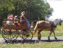 Nuit en roulotte et balade en attelage à la « ferme du Pré Fleuri » Nuit en roulotte et balade en attelage à la « ferme du Pré Fleuri »