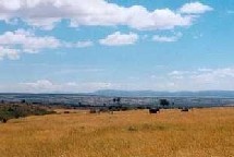 Le Kenya cherche à séduire une clientèle de retraités en adaptant ses produits touristiques Le Kenya cherche à séduire une clientèle de retraités en adaptant ses produits touristiques