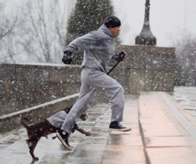 Rocky Balboa : à 60 ans Sylvester Stallone remonte sur le ring pour la 6ème fois Rocky Balboa : à 60 ans Sylvester Stallone remonte sur le ring pour la 6ème fois