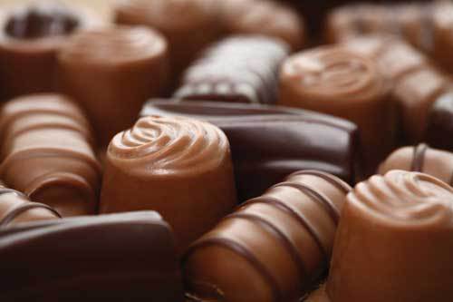 Acticoa : encore un nouveau chocolat anti-âge qui apparaît sur le marché Acticoa : encore un nouveau chocolat anti-âge qui apparaît sur le marché