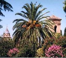 Espagne – Le gouvernement allouera 12 millions d’euros pour l’aide à domicile Espagne – Le gouvernement allouera 12 millions d’euros pour l’aide à domicile