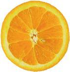 Etats-Unis – La vitamine C, comme prévention du cancer de l’estomac Etats-Unis – La vitamine C, comme prévention du cancer de l’estomac