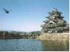 Japon - Une récente étude analyse les comportements et la consommation des seniors japonais Japon - Une récente étude analyse les comportements et la consommation des seniors japonais