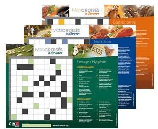 Mots-croisés : le CIV organise un jeu-concours dans les clubs de jeux du 3ème âge Mots-croisés : le CIV organise un jeu-concours dans les clubs de jeux du 3ème âge