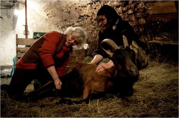 Les chèvres de ma mère, DR Les chèvres de ma mère, DR