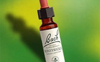 Bach Original : des fleurs pour passer le cap de la ménopause