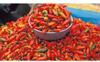 Vietnam gourmet ou les secrets de la cuisine asiatique…