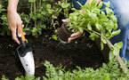 Facilitez-vous le jardinage avec les nouveaux outils pour balcons et terrasses Fiskars