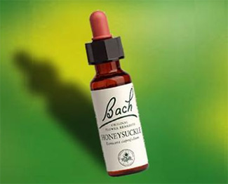 Bach Original : des fleurs pour passer le cap de la ménopause Bach Original : des fleurs pour passer le cap de la ménopause