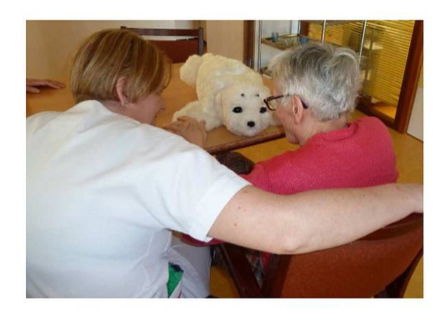 Maison de retraite : une grande étude sur Paro le petit robot Maison de retraite : une grande étude sur Paro le petit robot