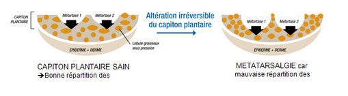 Cliquez sur l'image pour l'agrandir Cliquez sur l'image pour l'agrandir