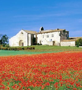 Le Couvent des minimes : un jardin extraordinaire…