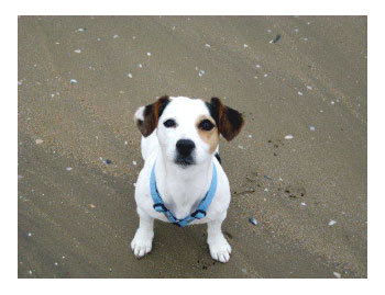 Crédit photo Caroline Cangi Crédit photo Caroline Cangi