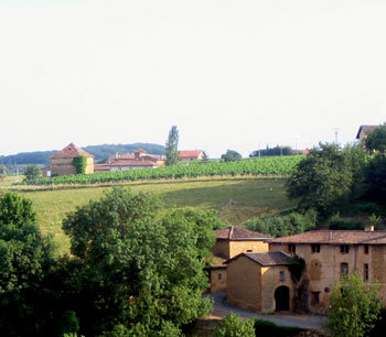 Les seniors, une nouvelle main d’œuvre pour les vendanges Les seniors, une nouvelle main d’œuvre pour les vendanges