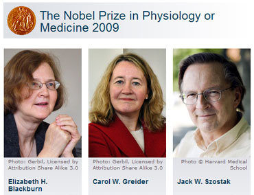 Prix Nobel de Médicine 2009 : la lutte contre le vieillissement récompensée ! Prix Nobel de Médicine 2009 : la lutte contre le vieillissement récompensée !