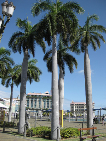 Indian Resort & Spa Apavou : bien-être et zénitude à l'île Maurice