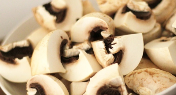 Champignons : cueillette et consommation, soyez prudents