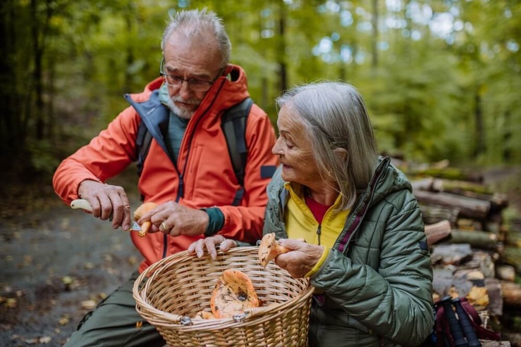 couple senior en pleine cuillette de champignons © Halfpoint/Shutterstock couple senior en pleine cuillette de champignons © Halfpoint/Shutterstock