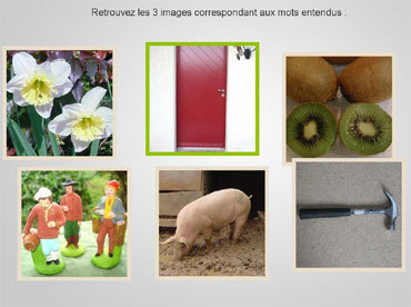 Memo-Technik : un logiciel d’entrainement cérébral pour les seniors Memo-Technik : un logiciel d’entrainement cérébral pour les seniors
