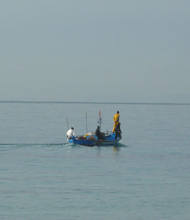 Pêcheurs au petit matin, Nabeul Pêcheurs au petit matin, Nabeul
