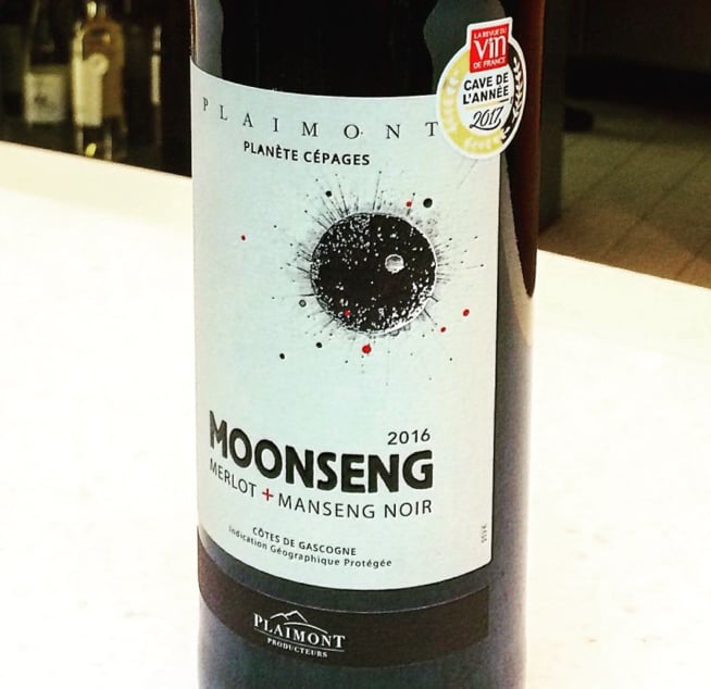 Côtes de Gascogne : des rouges masculins et des blancs vifs Côtes de Gascogne : des rouges masculins et des blancs vifs