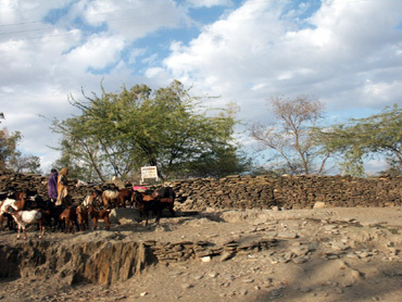 Project Abroad : quand des retraités s’engagent dans des missions d’aides humanitaires Project Abroad : quand des retraités s’engagent dans des missions d’aides humanitaires