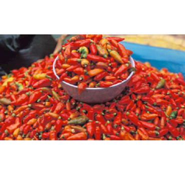 Vietnam gourmet ou les secrets de la cuisine asiatique… Vietnam gourmet ou les secrets de la cuisine asiatique…