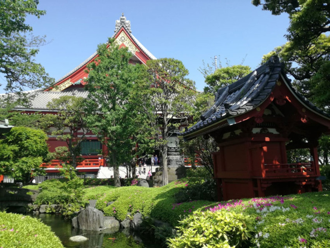 Japon : Keiro no Hi, la journée des ainés ! Japon : Keiro no Hi, la journée des ainés !