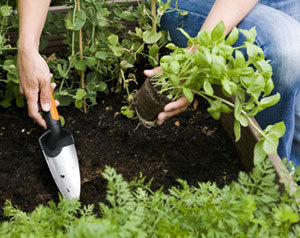 Facilitez-vous le jardinage avec les nouveaux outils pour balcons et terrasses Fiskars