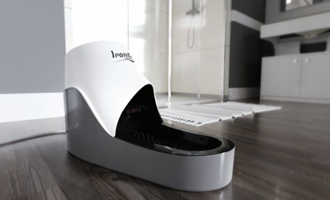 Iponeat