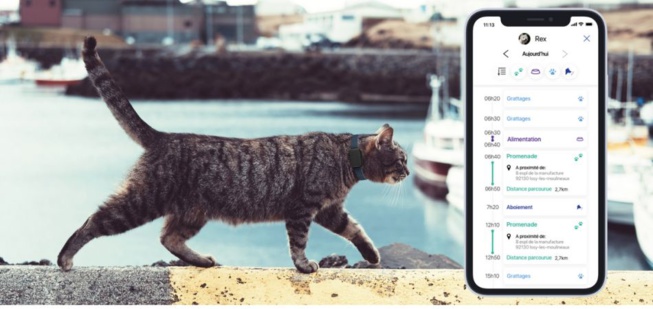 Pet Tracker met votre animal de compagnie sous surveillance rapprochée