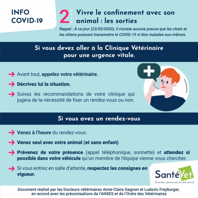 Confiné avec son chien ? Les conseils des vétérinaires Confiné avec son chien ? Les conseils des vétérinaires
