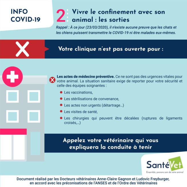 Confiné avec son chien ? Les conseils des vétérinaires Confiné avec son chien ? Les conseils des vétérinaires