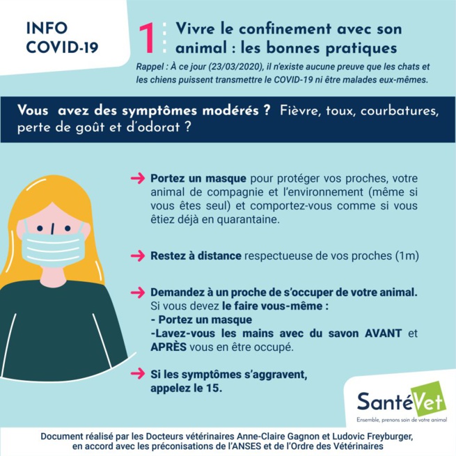 Confiné avec son chien ? Les conseils des vétérinaires Confiné avec son chien ? Les conseils des vétérinaires