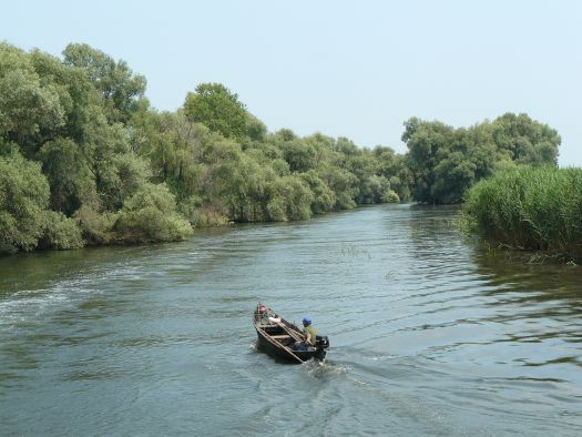 Le delta du Danube