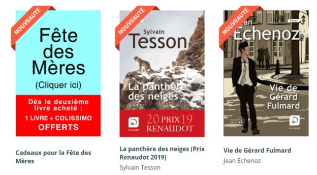 Covid-19 : les livres en "grands caractères" ont le vent en poupe Covid-19 : les livres en "grands caractères" ont le vent en poupe